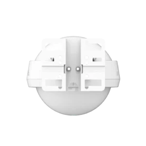 RG-RAP6262, Thiết bị Access point lắp đặt ngoài trời Wifi 6: trên tường, cột